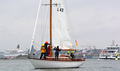 Nicoly FIN-43