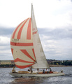 FIN 2097 Lancing Pauleena 