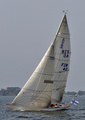 Fandango FIN 40