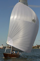 Wire FIN 43 ProSail regatta 2015