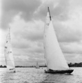 Tarpon II and Lara, 8 mR, Helsinki 1993