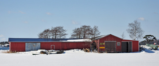 Veneveistämö Juha Tiira Nahkahousut saarella Lauttasaaren länsipuolella, kevättalvi 2011. Keskimmäinen rakennus, jonka päädyssä lukee Kabel, on alkuperäinen tykkihalli Lauttasaaren eteläkärjestä. Foto: JR