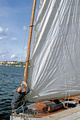 Cat boat Riddarfjärden 2003