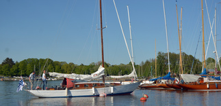 Utö-risteilijä Dorea FIN-13 saapui HSS:n satamaan.
