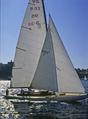 Amaranth S 33 Stockholm 1991