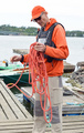 Sagitan solmu - Timo Saalasti ratkaisee probleemaa
The Knot of Sagitta - Timo Saalasti tries to resolve the problem