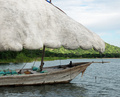 Latin sail