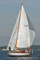 Nicoly FIN 43