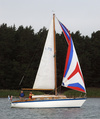 L 715 Chip Duck 2006