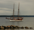 Blue Sirius Käsmu lahti