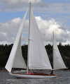 Alca SWE 1687 Nynäshamn 2012 