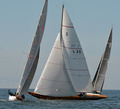Elinore L-35