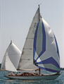 H 7 S 7 Seven 2005