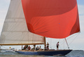 Blue Marlin Viaporin Tuoppi 2014