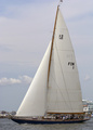 Blue Marlin, Champagneregatta 2014