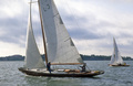 Tarpon II 1991