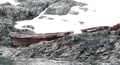 Näitä veneitä käytettiin keräämään Guvernören-laivalle makeaa vettä.
These boats were used for collecting water from glaciers, and when full, they were towed to the ship