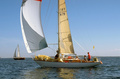 FIN 79 Julia Ex Noitarumpu