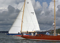 Blue Marlin in background, Bachant