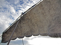 Latin sail