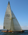 Wire FIN 43 Pentala 2010
