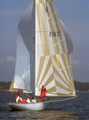Lyn FIN 37