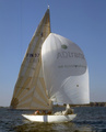 LYN FIN 37
