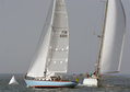 Leda 6099, Swan 36