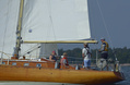 Nefertiti FIN-172