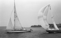 A L-13 Chupita ja 6 mR L-29 Viaporin Tuoppi 1989