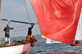Birgit SWE-44 Champagneregatta 2012