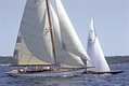 Beduin 2005