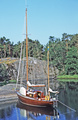 Pelle II Kifskär 1982