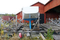 Viitonen Blåtunga