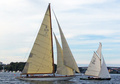 Beduin S-01 and Rospigan Stockholm 2005