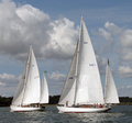 Refanut SWE 1 H 15  ja  SWE 236 Ballad, Trosa 2010
