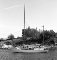 Johanna, Åbo Båtvarv 1935, Foto Helsinki 1992