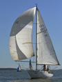 Triini EST-52