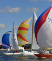 Elise Viaporin Tuoppi 2011 