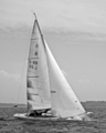 Filou Viaporin Tuoppi 2006