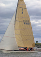 Windy Viaporin Tuoppi 2004