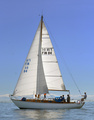 Lilian Havsörn FIN-84