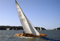 Sk 22 FIN 263 Fragancia