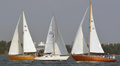 Nefertiti FIN-172, Lady Macbeth FIN-10894, Huh-Mari FIN-73