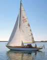 MK 209 Violetta Örö 2001