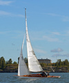MAYFLOWER, Sk 55 m2, Tore Holm 1919