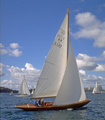 S 120 Winnie