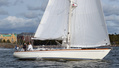 Swan Carly II