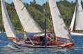 S 6873 Svanehvit Nynäshamn 2012