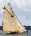 8 mR Asagao H 1 Trosa 2010